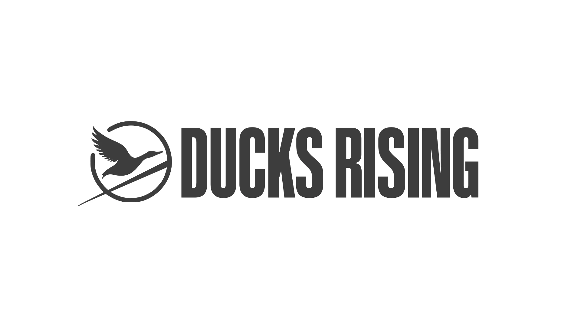 Ducks Rising