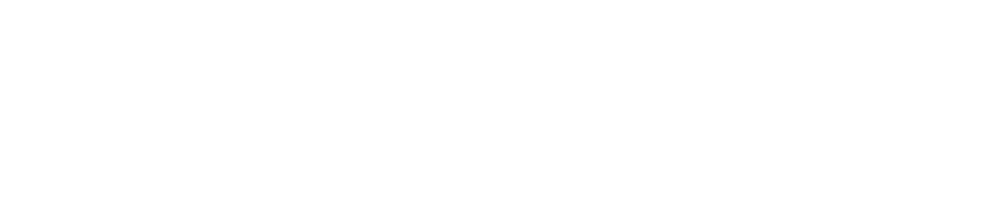 Ducks Rising