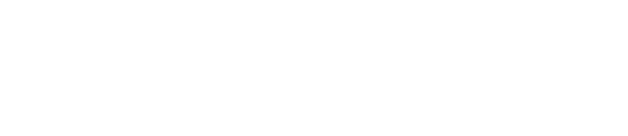 ROAR+