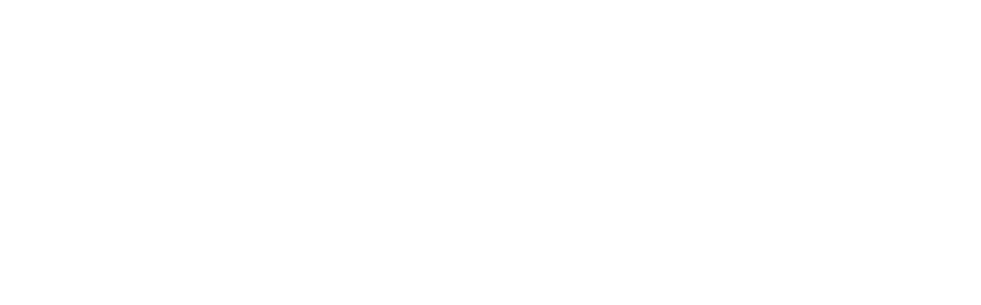 Spartans Illustrated
